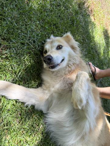 Argentina 2025-12-17