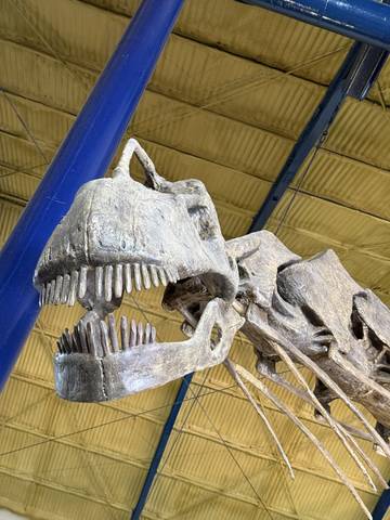 Argentina 2025-12-21