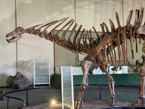 Argentina 2025-12-21